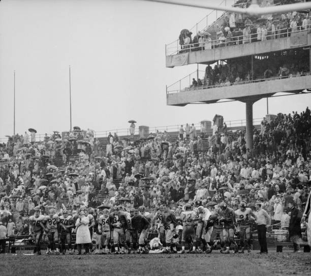 贝克汉姆长子布鲁克林妻子妮可拉·佩尔茨：家世背景与爱情故事