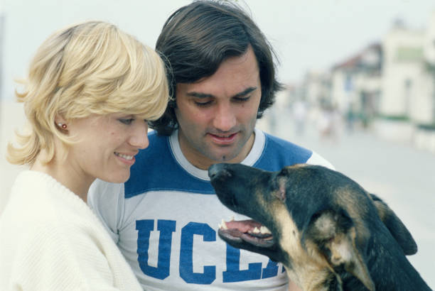 追寻马特乌斯·范德尔的旅程：从失落档案到家族秘密