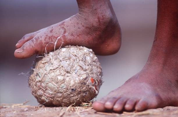 回顾2021年世界足球赛：从开幕到闭幕的全过程