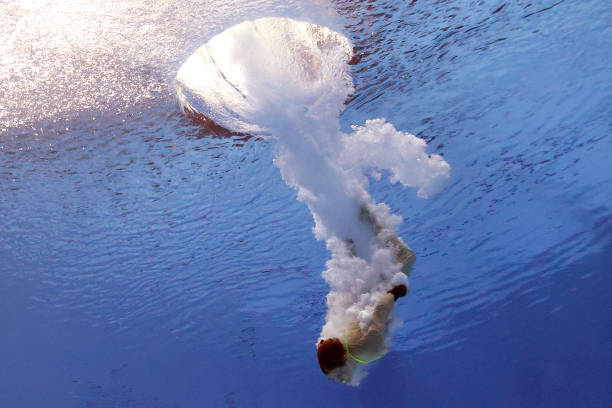 陈若琳跳水动作分解视频：学习冠军的技术细节