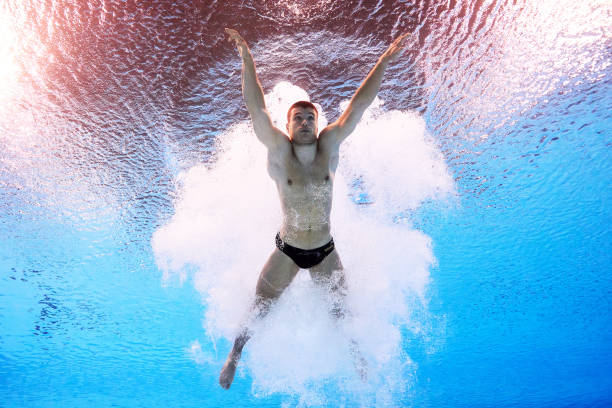 陈若琳职业生涯回顾：荣誉与成就一览