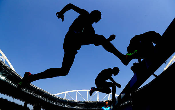 从湛江到国家队：全红婵的跳水生涯关键转折点