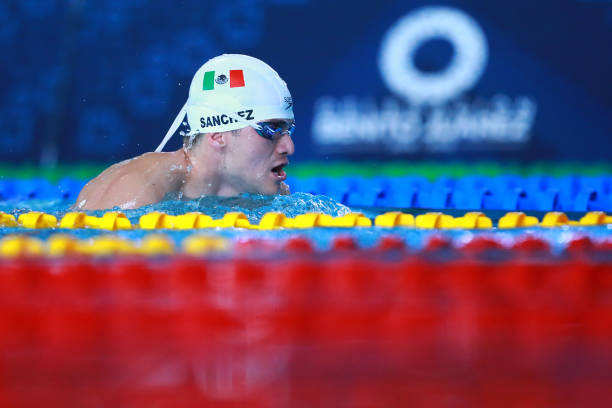 泳池赛道：从标准规格到比赛规则