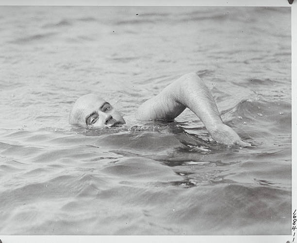 游泳救生员考试结束，成绩查询等待时间指南