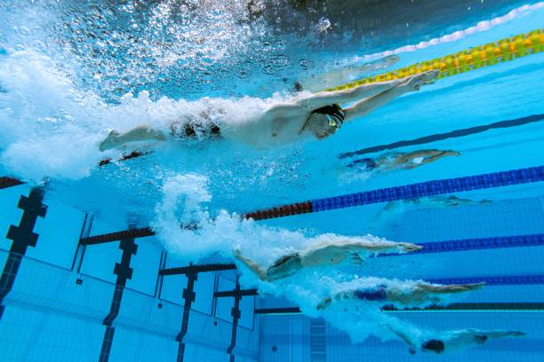 陈小纭游泳比赛高光时刻：完整剧集指南