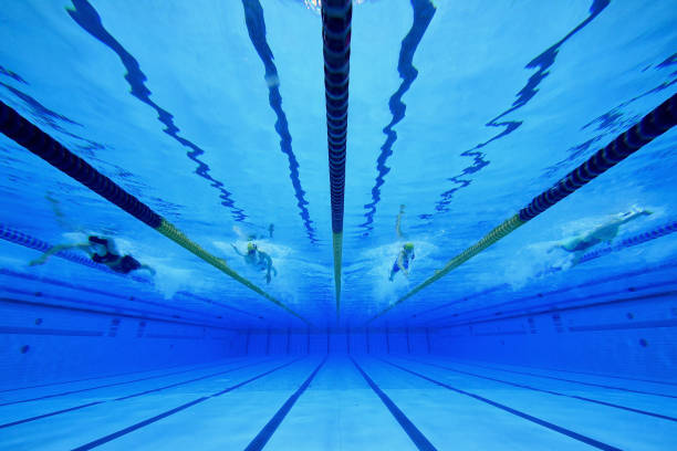 适用于专业评论，提供权威视角和深度洞察