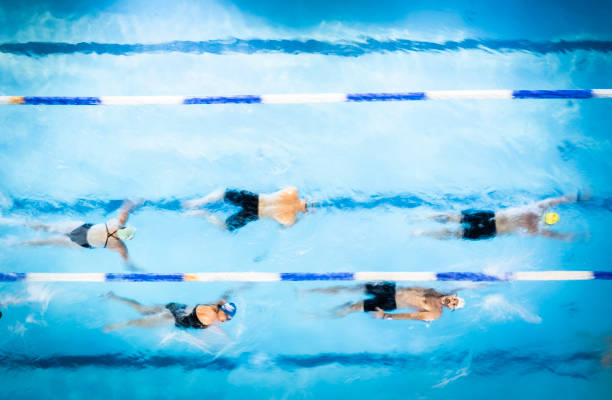 游泳赛事2024年赛程更新！最新时间表视频速递