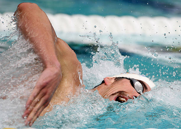 度假酒店游泳池景观布局图赏析