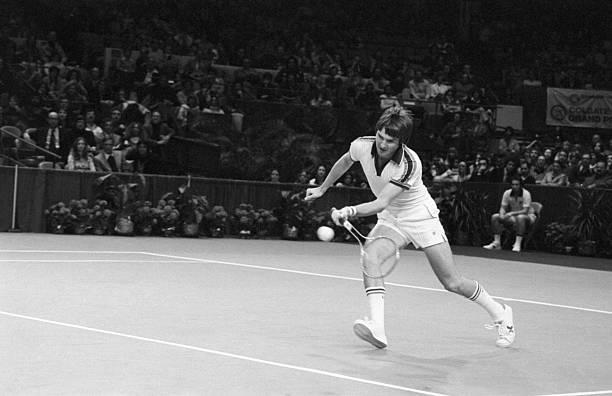 （适用于学术或官方介绍场景）