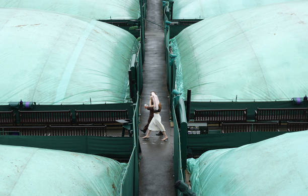 爱奇艺网球比赛回放功能全解析