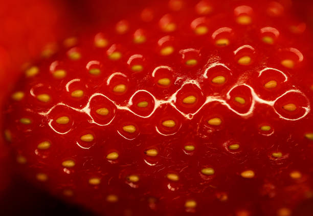 网球双打站位图解：从基础到进阶的完整教学指南